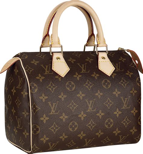 chanel bag lv